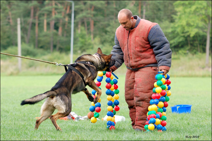 55 / 240