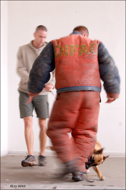 219 / 240