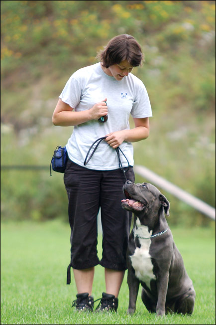 15 / 156