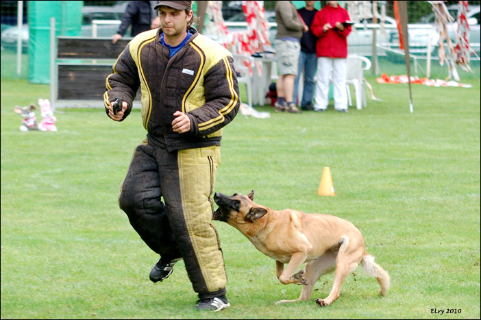10 / 65