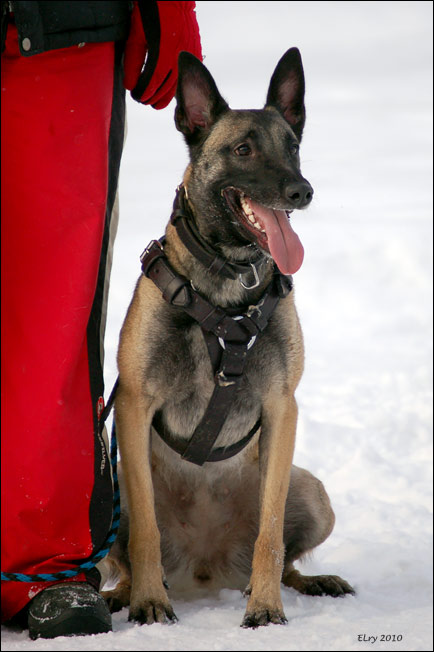 26 / 45