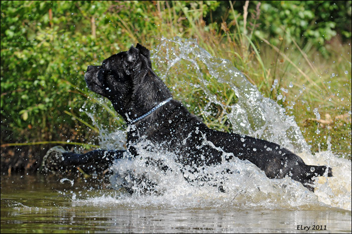 53 / 250