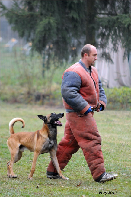 16 / 44